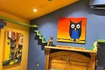 Người đàn ông chi tiền tỷ để xây ngôi nhà cho mèo đẹp nhất thế giới