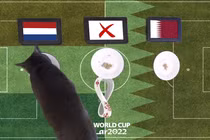 Mèo tiên tri, thần rùa dự đoán tỉ số World Cup 2022 29/11