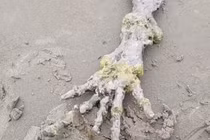 Phát hiện bàn tay xương xẩu khổng lồ, nghi sinh vật ngoài hành tinh