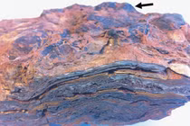 Nóng: Phát hiện sự sống Trái Đất ra đời 3,5 tỉ năm trước 