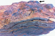 Nóng: Phát hiện sự sống Trái Đất ra đời 3,5 tỉ năm trước 