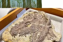 Tổ tiên “quái thú” của loài người đáng sợ hơn khủng long bạo chúa