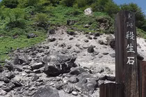 Nhiều lợn rừng bỏ mạng tại hòn đá “phong ấn cáo chín đuôi” Nhật Bản