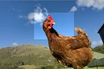 Đổ gục trước điểm nhấn đáng giá nhất trên mẫu iPhone 14 Pro