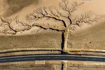 Ấn tượng cảnh đẹp ngoạn mục của thiên nhiên khiến người xem trầm trồ