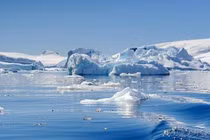 Sự sống không mong đợi bất ngờ trỗi dậy ở “tử địa” Trái Đất 