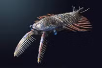 “Chết ngất” trước diện mạo khó tưởng của các sinh vật cổ đại