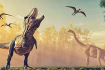 Nhân loại gặp lại “tử thần” biến Trái đất thành hành tinh khủng long? 