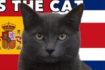 Mèo tiên tri, rùa thần dự đoán sốc tỉ số World Cup 2022 23/11 