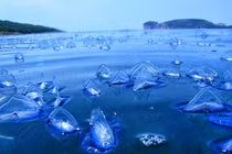 Bí ẩn 4 hiện tượng kỳ quái nhất Trái Đất, khoa học bó tay