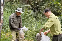 Thả 112 thú hoang dã về VQG Bù Gia Mập: Toàn loài quý hiếm! 