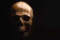 Phát hiện loài người “ma” bí ẩn ở Tây Phi, chuyên gia lý giải sao? 