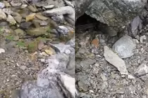 Lạ lùng “dòng suối nhút nhát“, nghe tiếng gọi là rút cạn trơ đáy 