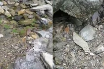 Lạ lùng “dòng suối nhút nhát“, nghe tiếng gọi là rút cạn trơ đáy 