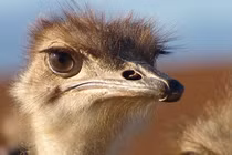 9 sự thật thú vị nhưng rất khó tin khiến ai cũng bất ngờ 