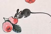 Từ tháng 11/2022, 4 con giáp vận may ập đến, hốt vàng mỏi tay 