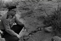 Lật lại những lần “chạm trán” UFO gây chấn động lịch sử nhân loại 