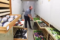 Chiêm ngưỡng bộ sưu tập tiêu bản chim lớn nhất thế giới