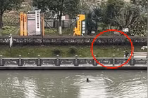 Tài xế xe tải nhảy xuống sông cứu cô gái khỏi đuối nước