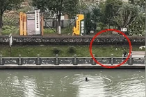 Tài xế xe tải nhảy xuống sông cứu cô gái khỏi đuối nước