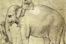 Giải mã xác voi bí ẩn chôn vùi bên dưới thành quốc Vatican