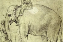 Giải mã xác voi bí ẩn chôn vùi bên dưới thành quốc Vatican