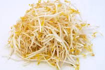 5 nhóm người không nên ăn giá đỗ để bảo vệ sức khỏe