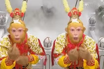 Tại sao Tôn Ngộ Không lại tìm Bồ Tát để nhờ phân biệt Mỹ Hầu Vương thật giả? 