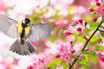 4 con giáp vận may được cải thiện, cuộc sống dễ dàng, sung túc