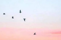 20 câu nói thần kỳ nhất thế gian, đọc một lần, lợi cả đời!