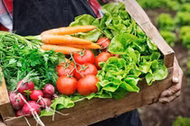 Chế độ ăn uống thích hợp nhất cho người ung thư gan