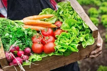 Chế độ ăn uống thích hợp nhất cho người ung thư gan