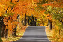 4 con giáp tài lộc sung túc trong tháng 8 Âm lịch