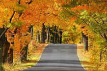 4 con giáp tài lộc sung túc trong tháng 8 Âm lịch