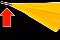 Tại sao ô có đầu nhọn + 19 kiến thức ẩn giấu mà chỉ 1% biết