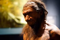 Vì sao loài siêu nhân não to hơn chúng ta bị Trái Đất loại bỏ?