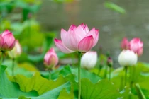 Về già, dù thương con đến mấy cũng đừng làm bốn điều này