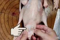 Ba bộ phận này của vịt chứa nhiều 'độc tố'