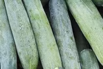 ­Mua dưa chuột cứ nhắm vào điểm này, khỏi lo dưa tẩm hóa chất