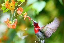 Người sinh ngày Âm lịch này giỏi kết bạn, làm ăn phát đạt