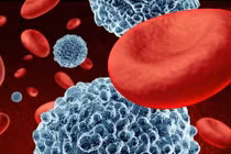 Triển vọng về phương pháp chữa trị bệnh ung thư máu