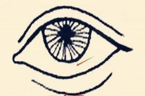 Bốn kiểu mặt có tính ghen tuông mạnh nhất, hay đa nghi