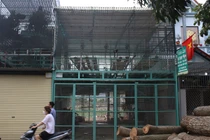 Người thân nói về chủ vườn lan bị tố ôm 200 tỷ bỏ trốn