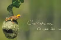 Đời người quan trọng nhất là nụ cười, bởi nó có thể làm bừng sáng một ngày đen tối nhất