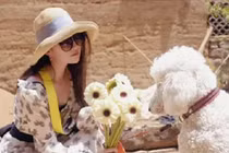 Điều ít ai biết về cuộc sống của "thần tiên tỷ tỷ" Lưu Diệc Phi