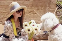 Điều ít ai biết về cuộc sống của "thần tiên tỷ tỷ" Lưu Diệc Phi