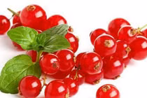 Quả "nhà nghèo" ở nước ngoài về Việt Nam chỉ người giàu mới dám mua