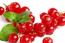 Quả "nhà nghèo" ở nước ngoài về Việt Nam chỉ người giàu mới dám mua