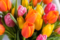 7 ngày tới trong tháng 6, 3 con giáp có sự nghiệp thăng hoa