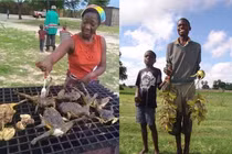 Tại sao người châu Phi lại ăn loài ếch khổng lồ cực độc này?